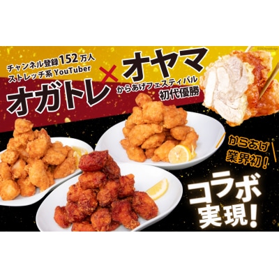 オガトレ監修 高タンパク 唐揚げ からあげたんぱっくん 2種セット 1.6kg 20564758 ◎
