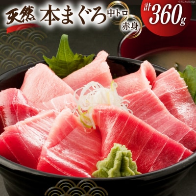 昭福丸の天然本まぐろ (中トロ・赤身) 各180g 計360g 20563782 ◎