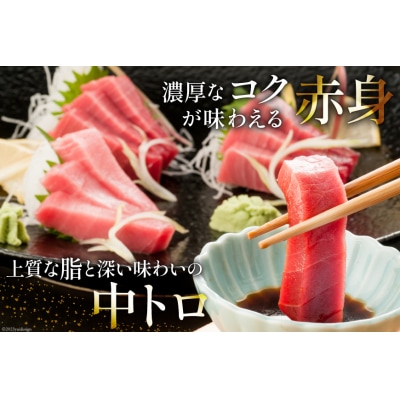 昭福丸の天然本まぐろ (中トロ・赤身) 各180g 計360g 20563782 ◎