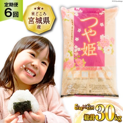 6回 定期便 米 つや姫 5kg×6 計30kg [20564680]  ◎