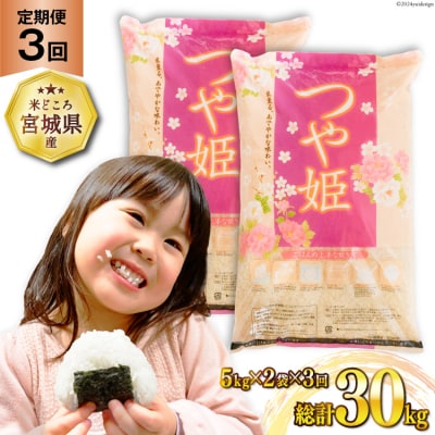 3回 定期便 米 つや姫 10kg (5kg×2袋) 計30kg [20564682]  ◎