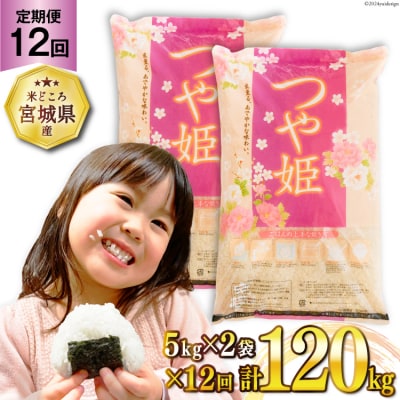 12回 定期便 米 つや姫 10kg (5kg×2袋) 計120kg [20564684]  ◎