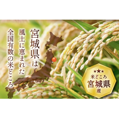 3回 定期便 米 ひとめぼれ 5kg 計15kg [20564685]  ◎