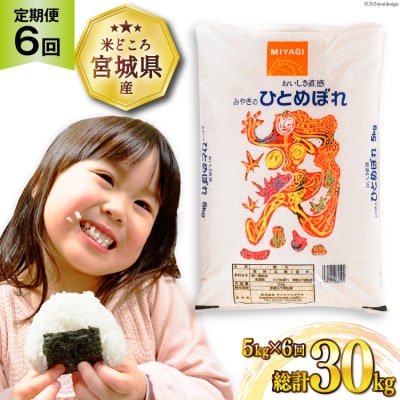 6回 定期便 米 ひとめぼれ 5kg 計30kg [20564686]  ◎