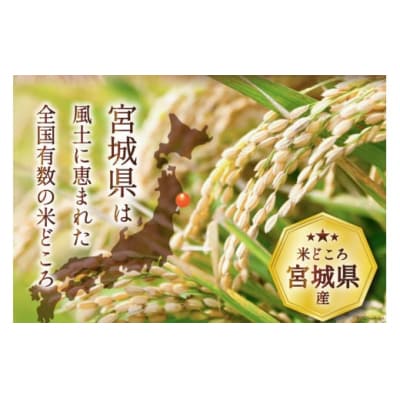 12回 定期便 米 だて正夢 10kg (5kg×2袋) 計120kg [20564696]  ◎
