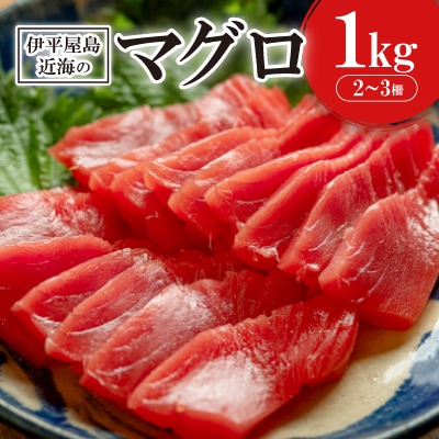 伊平屋島近海のマグロ1kg(マイナス60℃急速冷凍)