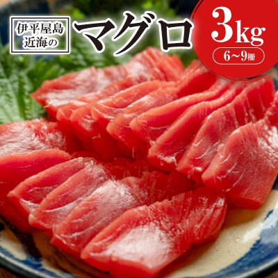 伊平屋島近海のマグロ3kg(マイナス60℃急速冷凍)
