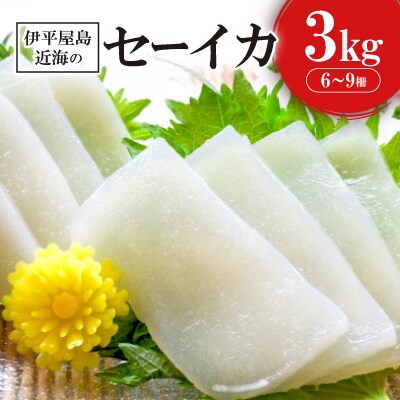もちっと食感のセーイカ3kg