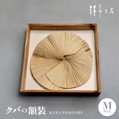 クバの額装KUBANOHOSHI(ホワイト)Mサイズ
