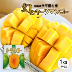 【2025年8月～9月頃発送予定】伊平屋産の幻のキーツマンゴー1kg(1～2玉)
