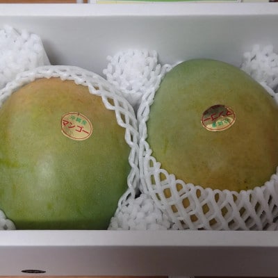 【2025年8月～9月頃発送予定】伊平屋産の幻のキーツマンゴー1kg(1～2玉)