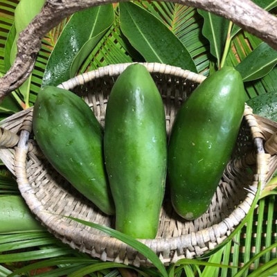伊平屋産の青パパイヤ2kg