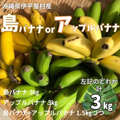 【2025年7月発送】もっちり甘い 島バナナ アップルバナナ 3kg 伊平屋村産