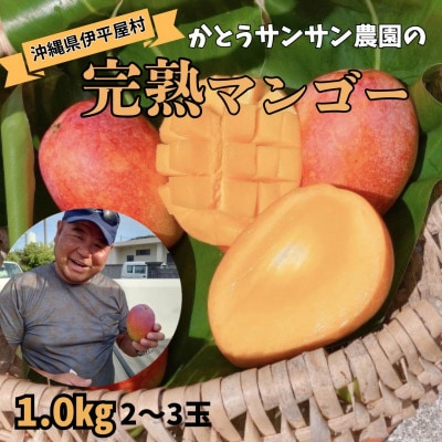 【2025年7月頃発送】離島の恵み　完熟マンゴー1.0kg