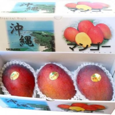 【2025年7月頃発送】離島の恵み　完熟マンゴー1.0kg