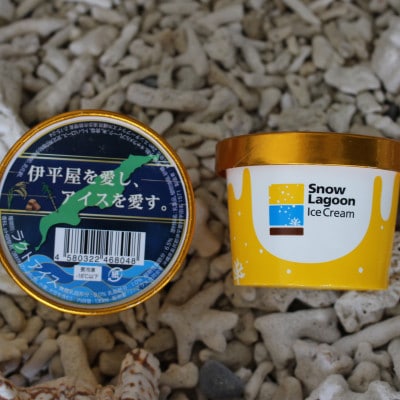 「伊平屋を愛し、アイスを愛す。」130ml×6個 アイスクリーム ジェラート