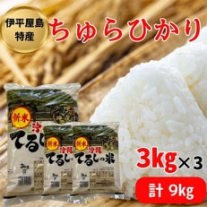 【2025年発送】伊平屋島特産のちゅらひかり3kg×3袋