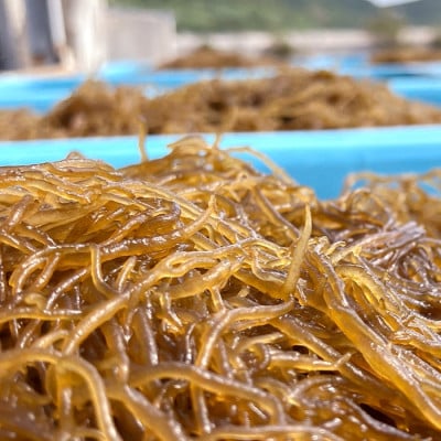 伊平屋島で獲れた味付けもずく 260g×8袋