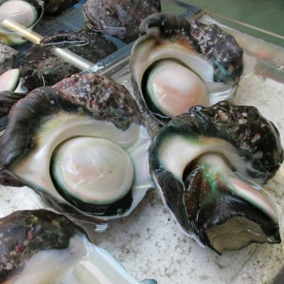 伊平屋島で獲れた海産物セット 梅プラン(4～6品)