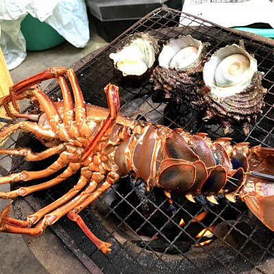 伊平屋島で獲れた海産物セット 竹プラン(5～8品)