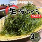ぷちぷち濃厚 伊平屋の「生」海ぶどう 100g×3パック