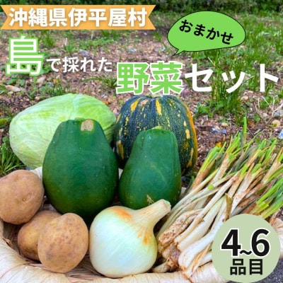 島で採れた新鮮野菜詰め合わせセット(4～6品目)