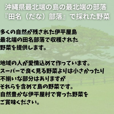 島で採れた新鮮野菜詰め合わせセット(4～6品目)
