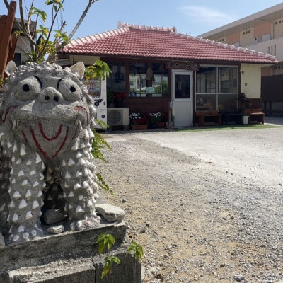 地元民から人気の名店 幸ちゃんそば もずく生麺 三枚肉そば 6食セット