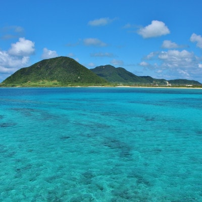 地元民から人気の名店 幸ちゃんそば もずく生麺 三枚肉そば 6食セット
