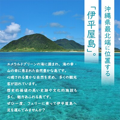 地元民から人気の名店 幸ちゃんそば もずく生麺 三枚肉そば 6食セット