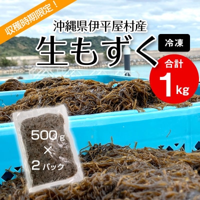 【収穫時期限定!】冷凍 生もずく　1kg(500g × 2パック)