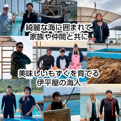 【収穫時期限定!】冷凍 生もずく　1kg(500g × 2パック)