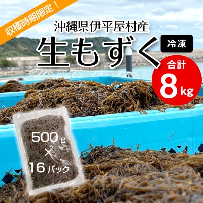 【収穫時期限定!】冷凍 生もずく　8kg(500g × 16パック)