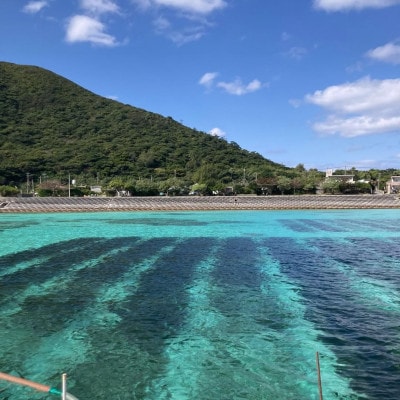 【海産物きむらや】沖縄県伊平屋島産の味付もずく24パック(1袋60g×3個)×8ヶ