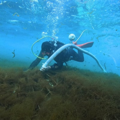 【海産物きむらや】伊平屋島産の味付もずく4P(60g×3個)&生もずく270g×4袋