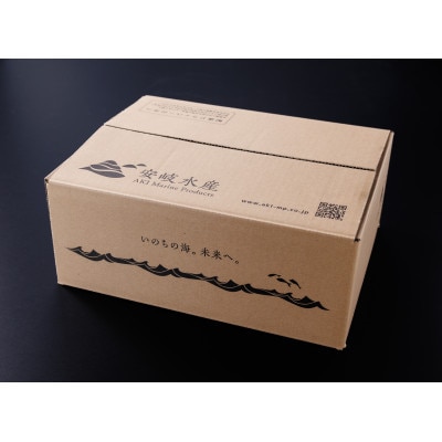 あおりいか三昧セット いかそうめん 200g、むき 身500g、ゲソ加熱用 200g 香川県