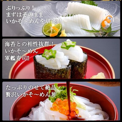あおりいか いかそ～めん 2kg(200g×10パック)