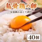烏骨鶏の卵40個
