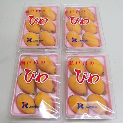 香川のびわ「なつたより」　約1kg