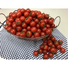 ミニトマト　約200g×12パック