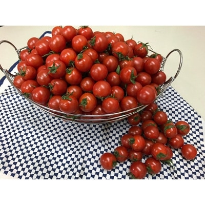 ミニトマト　約200g×12パック