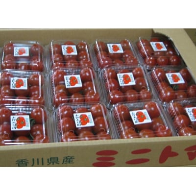 ミニトマト　約200g×12パック