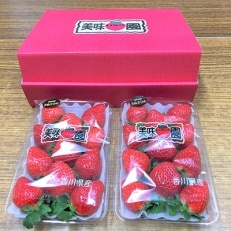 【12月～1月発送】美味いちご園「さぬきひめ」　大粒約270g×2パック