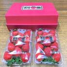 【12月～1月発送】美味いちご園「さぬきひめ」　大粒約270g×2パック