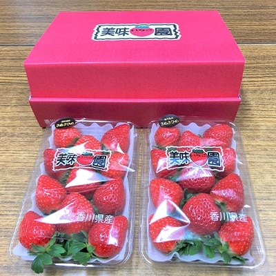 【2025年2月以降発送】美味いちご園「さぬきひめ」270g×2パック×2箱