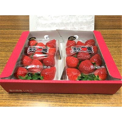 【2025年2月以降発送】美味いちご園「さぬきひめ」270g×2パック×2箱