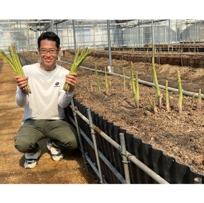 カトちゃん農園のアスパラガス(さぬきのめざめロング)春芽1kg