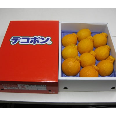 貯蔵デコポン　約3kg化粧箱入り