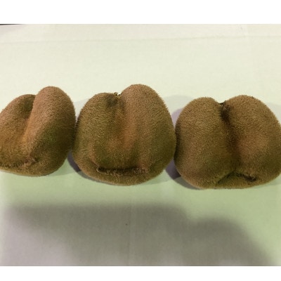 訳あり香緑キウイ　約1.5kg