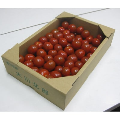 【ご家庭用】ヘタなしミニトマト　約1kg×2箱